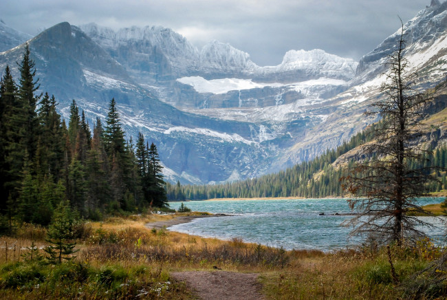 Обои картинки фото природа, реки, озера, лес, река