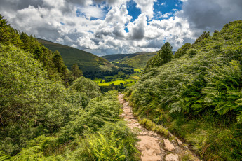 Картинка природа дороги тракт