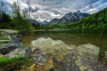 Картинка природа реки озера лес река