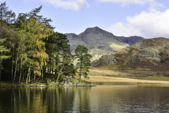 Картинка природа реки озера лес река