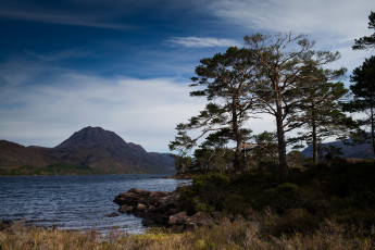 Картинка природа реки озера лес река