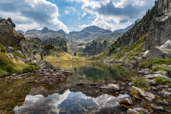 Картинка природа реки озера река лес