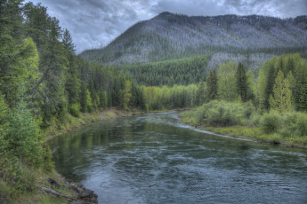 Картинка природа реки озера река лес