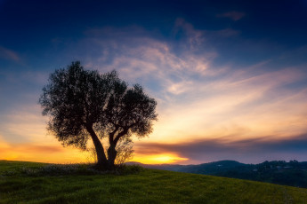 Картинка природа восходы закаты рассвет