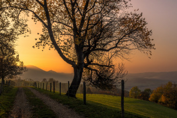 Картинка природа дороги тракт