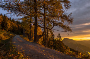 Картинка природа дороги тракт