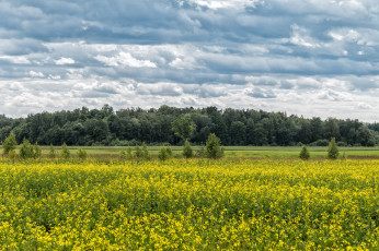 Картинка природа пейзажи простор