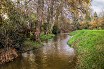 Картинка природа реки озера лес река