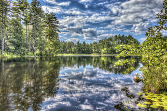 Картинка природа реки озера лес река