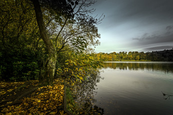 Картинка природа реки озера река лес