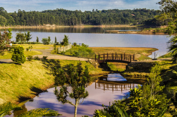 Картинка природа реки озера река лес