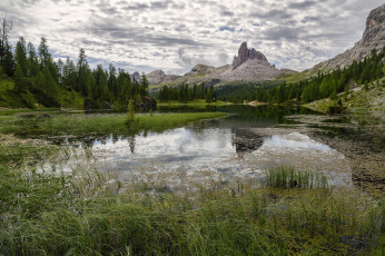 Картинка природа реки озера река лес