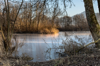 Картинка природа реки озера река лес