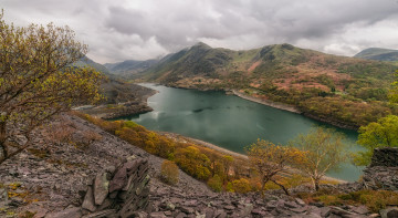 Картинка природа реки озера лес река