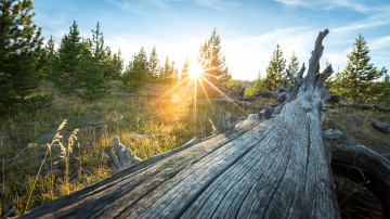 Картинка природа восходы закаты рассвет