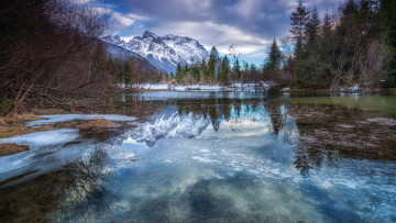 Картинка природа реки озера лес река