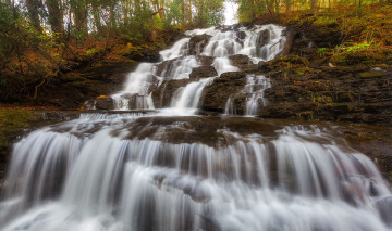 Картинка природа водопады лес река водопад