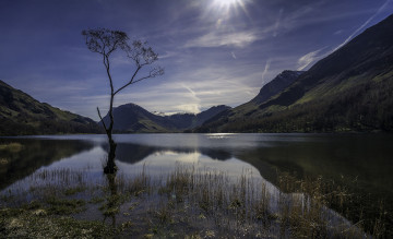 Картинка природа реки озера лес река