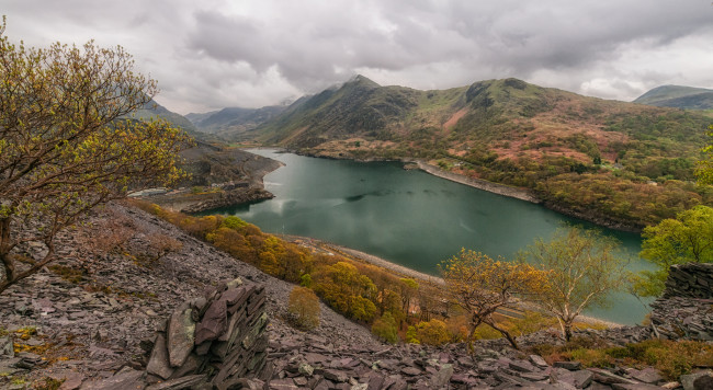 Обои картинки фото природа, реки, озера, лес, река