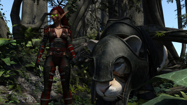 Обои картинки фото 3д графика, существа , creatures, фон, взгляд, эльфийка