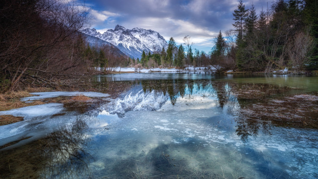 Обои картинки фото природа, реки, озера, лес, река