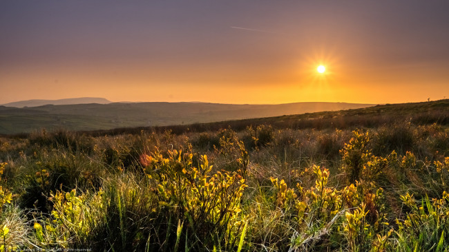 Обои картинки фото природа, восходы, закаты, рассвет