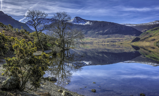 Обои картинки фото природа, реки, озера, лес, река