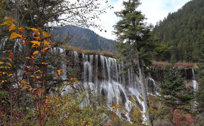 Обои картинки фото природа, водопады, лес, река, водопад