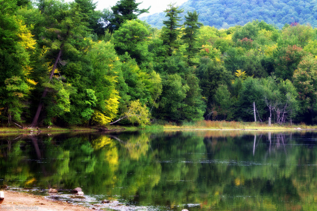 Обои картинки фото природа, реки, озера, лес, река
