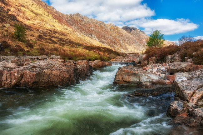 Обои картинки фото природа, реки, озера, лес, река