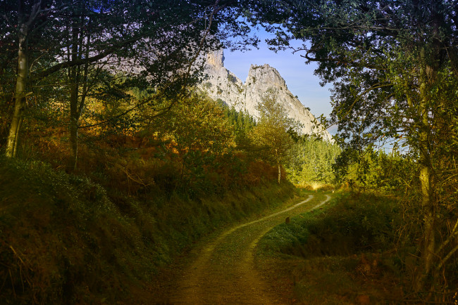 Обои картинки фото природа, дороги, тракт