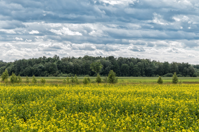 Обои картинки фото природа, пейзажи, простор