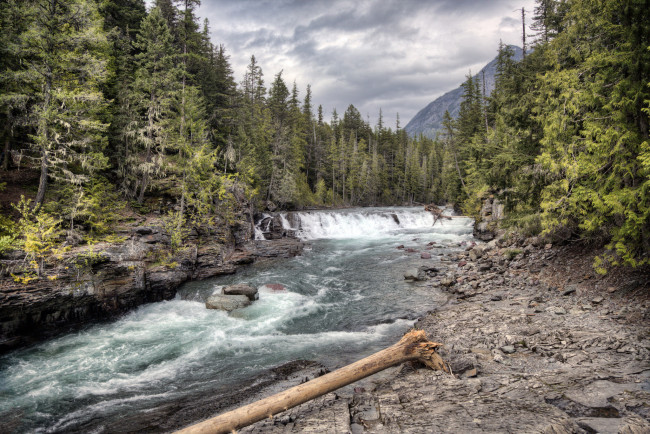 Обои картинки фото природа, реки, озера, лес, река