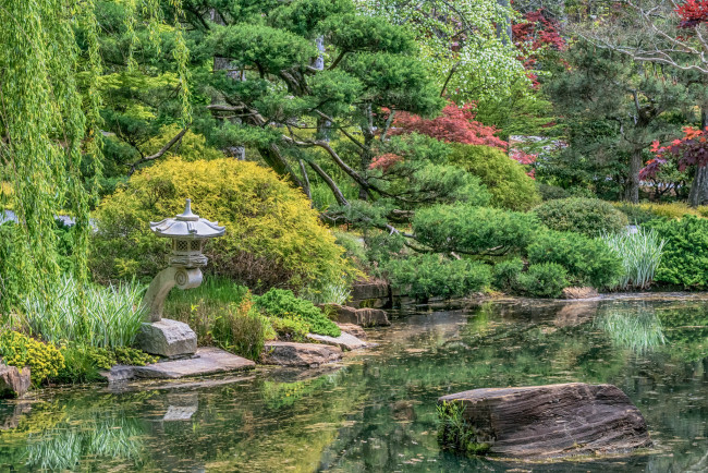 Обои картинки фото природа, реки, озера, лес, река