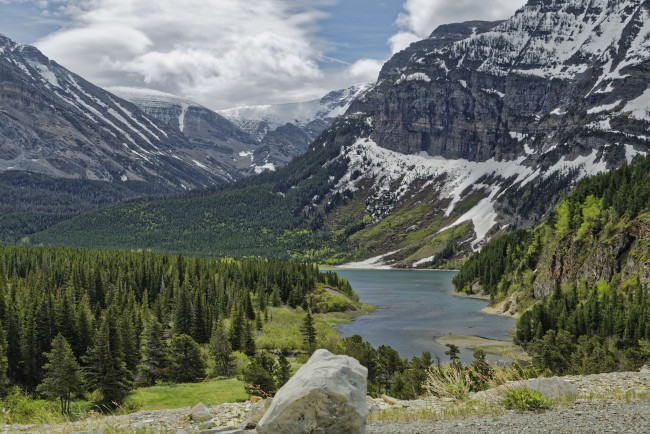 Обои картинки фото природа, реки, озера, лес, река