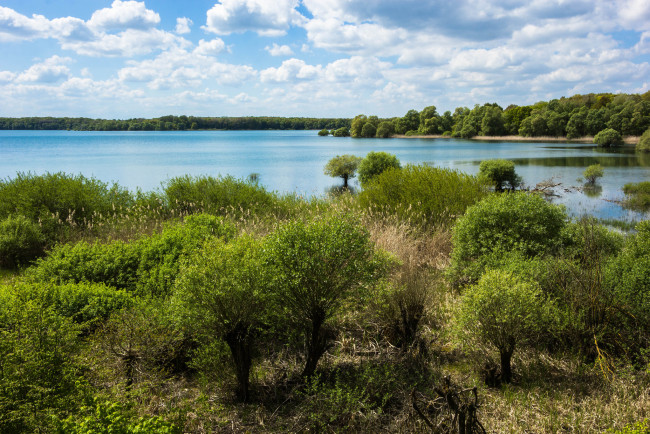 Обои картинки фото природа, реки, озера, лес, река