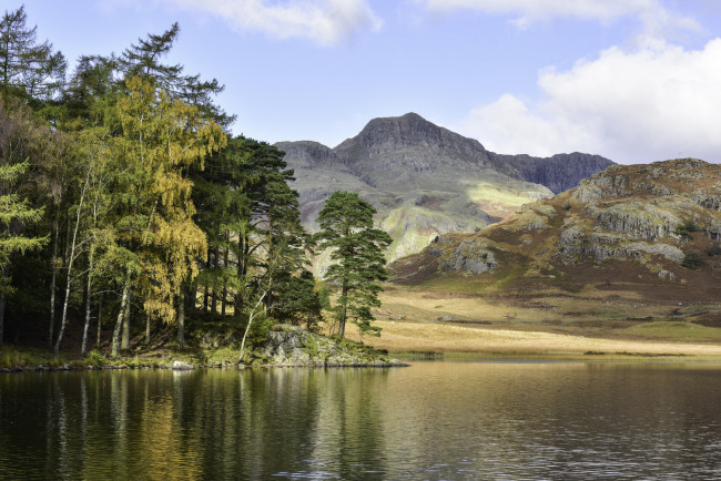 Обои картинки фото природа, реки, озера, лес, река