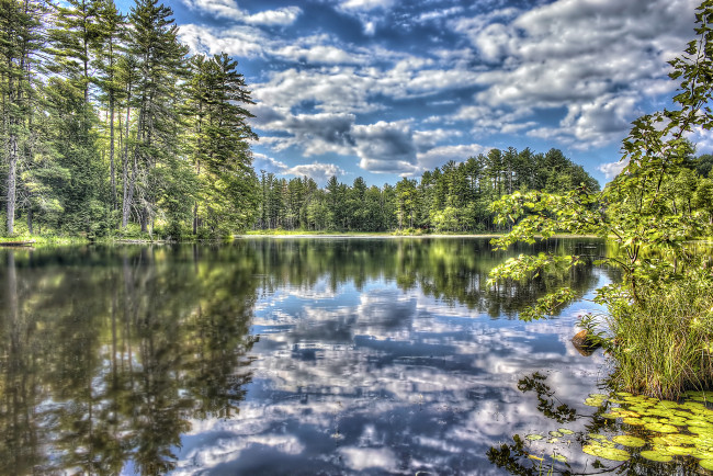 Обои картинки фото природа, реки, озера, лес, река