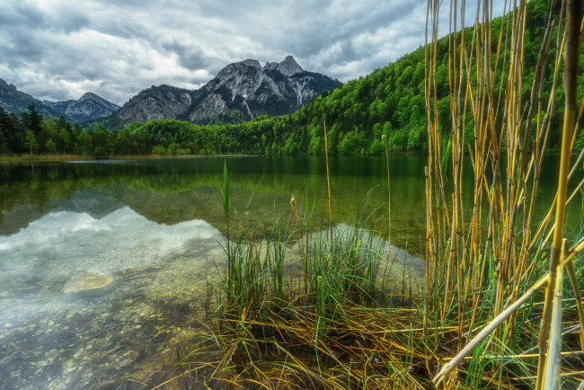 Обои картинки фото природа, реки, озера, лес, река