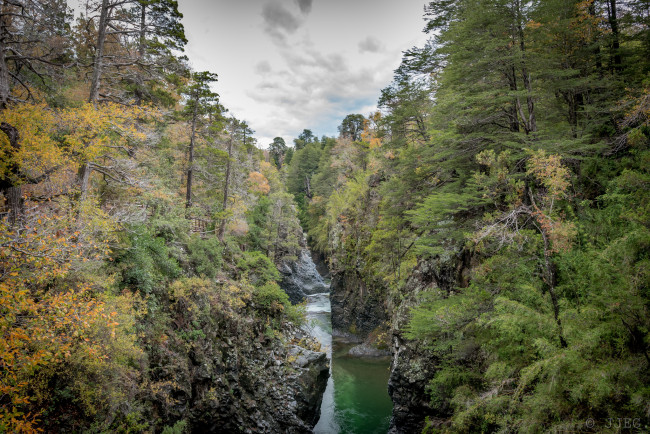 Обои картинки фото природа, реки, озера, лес, река