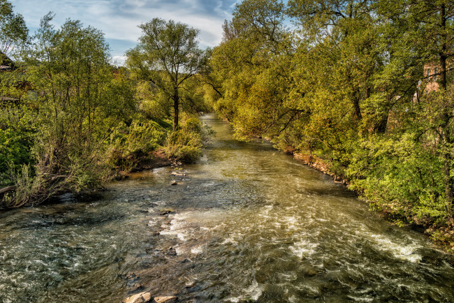 Обои картинки фото природа, реки, озера, река, лес