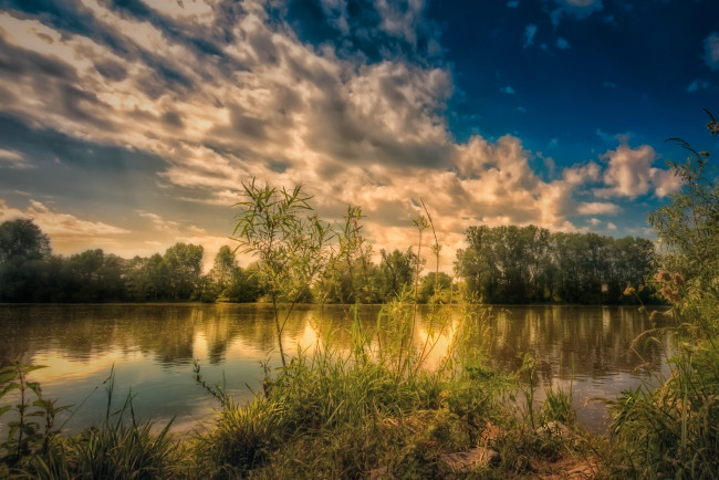 Обои картинки фото природа, реки, озера, река, лес