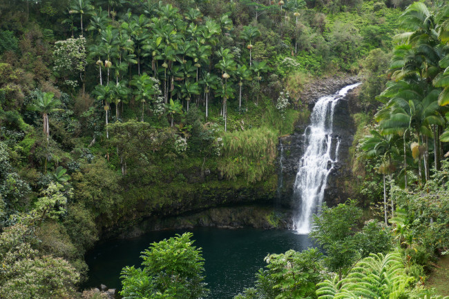 Обои картинки фото природа, водопады, лес, река, водопад