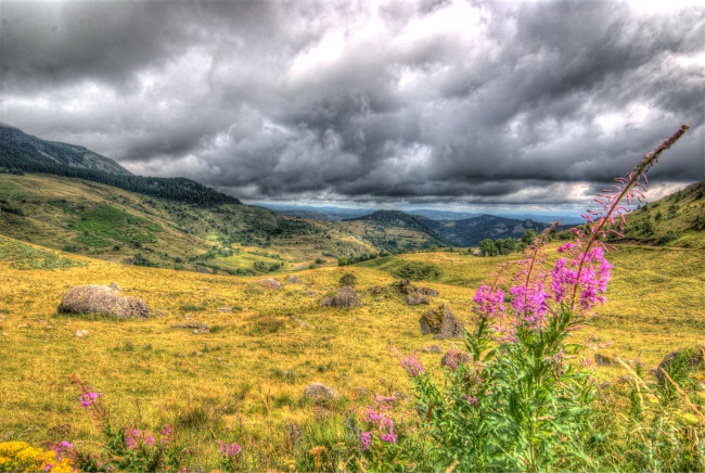 Обои картинки фото природа, пейзажи, простор