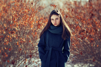 Картинка девушка девушки -unsort+ брюнетки темноволосые модель