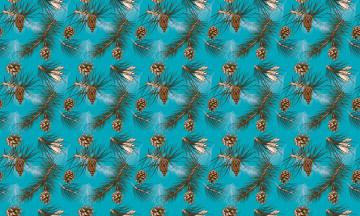 Картинка векторная+графика природа+ nature ветки шишки сосна