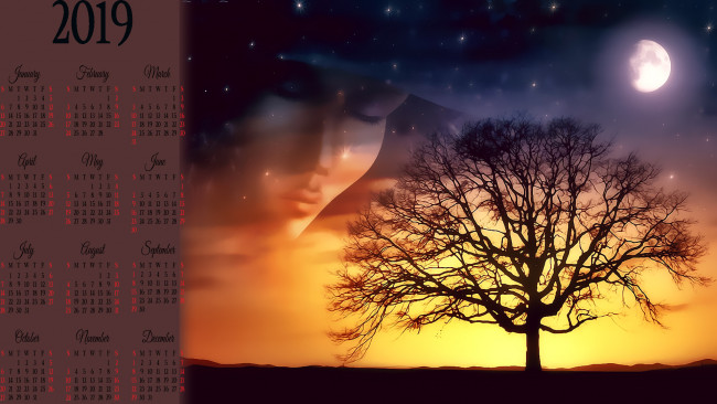 Обои картинки фото календари, фэнтези, лицо, дерево, силуэт