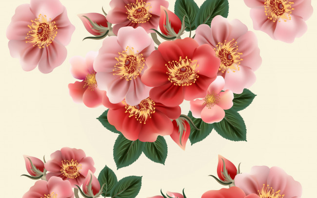 Обои картинки фото векторная графика, цветы , flowers, цветы, фон