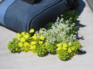 Картинка цветы разные+вместе букетик