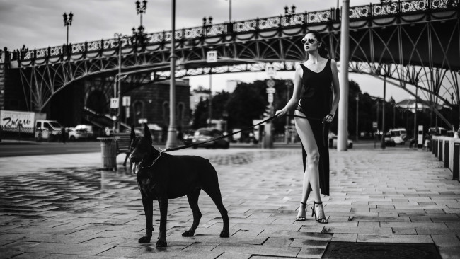 Обои картинки фото девушки, disha shemetova, disha, shemetova